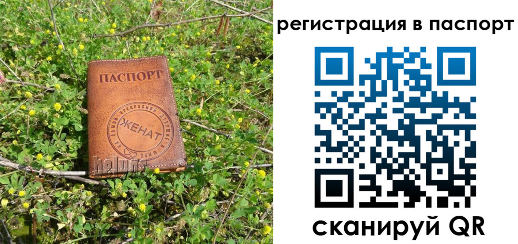 прописка законно в Дубовке